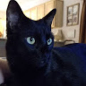 Meet your Posher, Johnathan